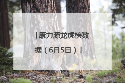 康力源龙虎榜数据（6月5日）