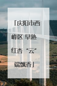 庆阳市西峰区 早熟红杏“云”端飘香