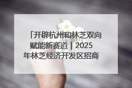 开辟杭州和林芝双向赋能新赛道｜2025年林芝经济开发区招商引资（杭州）推介展销活动在杭举办