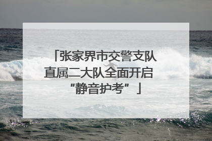 张家界市交警支队直属二大队全面开启“静音护考”