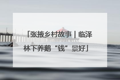 张掖乡村故事｜临泽林下养鹅“钱”景好