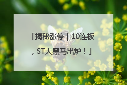 揭秘涨停｜10连板，ST大黑马出炉！