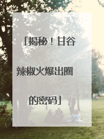 揭秘！甘谷辣椒火爆出圈的密码
