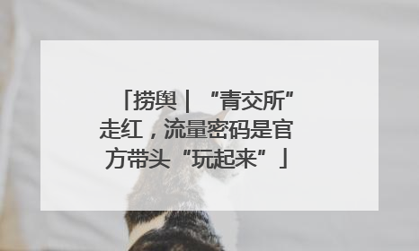 捞舆｜“青交所”走红，流量密码是官方带头“玩起来”