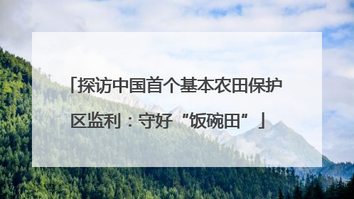 探访中国首个基本农田保护区监利：守好“饭碗田”