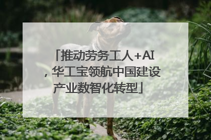 推动劳务工人+AI，华工宝领航中国建设产业数智化转型