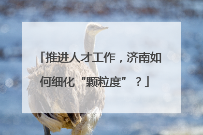 推进人才工作，济南如何细化“颗粒度”？