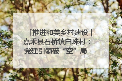 推进和美乡村建设｜嘉禾县石桥镇白珠村：党建引领破“空”局 乡贤聚力绘就新图景