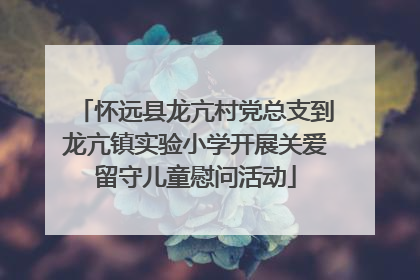怀远县龙亢村党总支到龙亢镇实验小学开展关爱留守儿童慰问活动