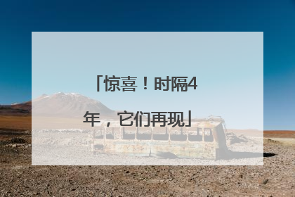 惊喜！时隔4年，它们再现