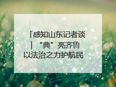 感知山东记者谈｜“典”亮齐鲁 以法治之力护航民生与营商环境