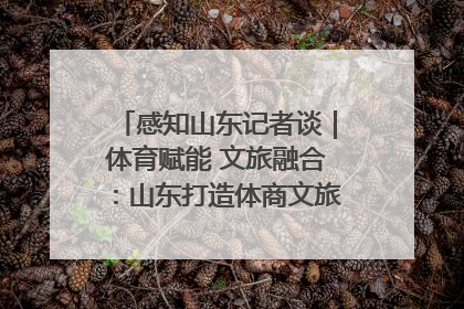感知山东记者谈｜体育赋能 文旅融合：山东打造体商文旅融合发展新格局