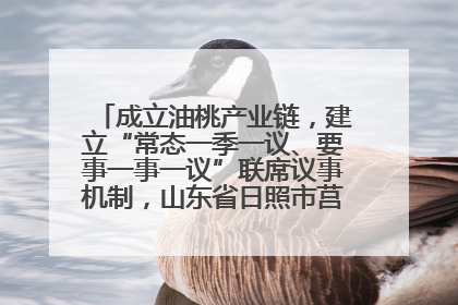 成立油桃产业链，建立“常态一季一议、要事一事一议”联席议事机制，山东省日照市莒县果庄镇——13个党小组“全周期”育果