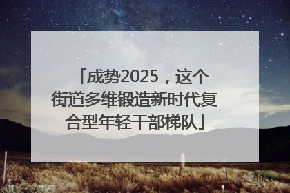 成势2025，这个街道多维锻造新时代复合型年轻干部梯队