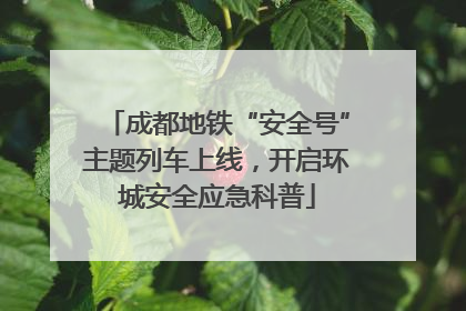 成都地铁“安全号”主题列车上线，开启环城安全应急科普