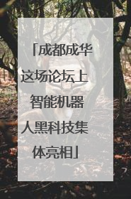 成都成华这场论坛上 智能机器人黑科技集体亮相