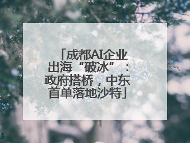 成都AI企业出海“破冰”：政府搭桥，中东首单落地沙特