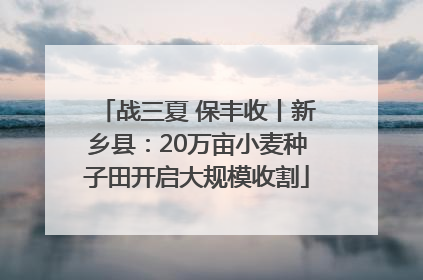 战三夏 保丰收丨新乡县：20万亩小麦种子田开启大规模收割