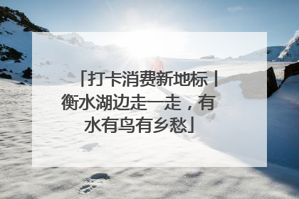 打卡消费新地标丨衡水湖边走一走，有水有鸟有乡愁