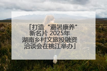打造“避暑康养”新名片 2025年湖南乡村文旅投融资洽谈会在桃江举办