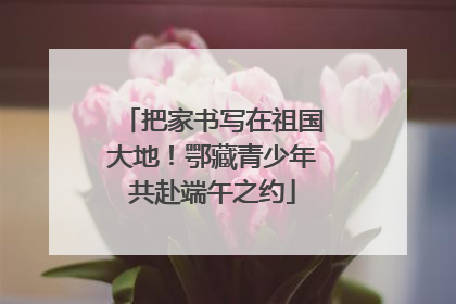 把家书写在祖国大地！鄂藏青少年共赴端午之约