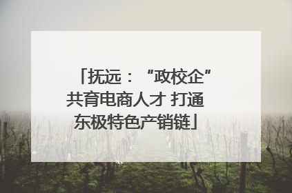 抚远：“政校企”共育电商人才 打通东极特色产销链