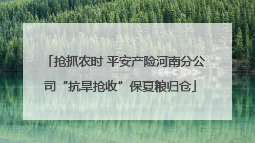 抢抓农时 平安产险河南分公司“抗旱抢收”保夏粮归仓