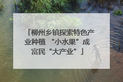 柳州乡镇探索特色产业种植 “小水果”成富民“大产业”