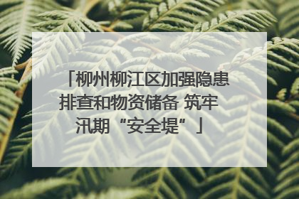 柳州柳江区加强隐患排查和物资储备 筑牢汛期“安全堤”