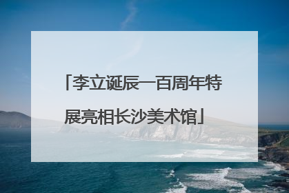 李立诞辰一百周年特展亮相长沙美术馆