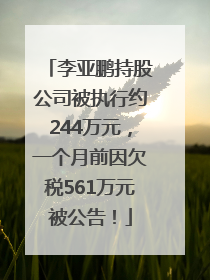 李亚鹏持股公司被执行约244万元，一个月前因欠税561万元被公告！