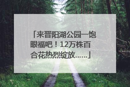 来晋阳湖公园一饱眼福吧！12万株百合花热烈绽放……