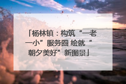 杨林镇：构筑“一老一小”服务圈 绘就“朝夕美好”新图景