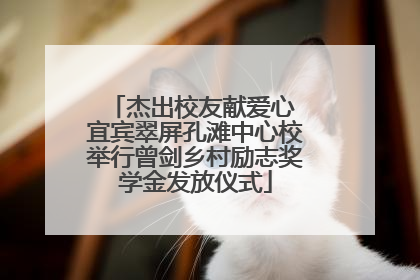 杰出校友献爱心 宜宾翠屏孔滩中心校举行曾剑乡村励志奖学金发放仪式