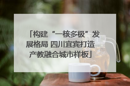 构建“一核多极”发展格局 四川宜宾打造产教融合城市样板