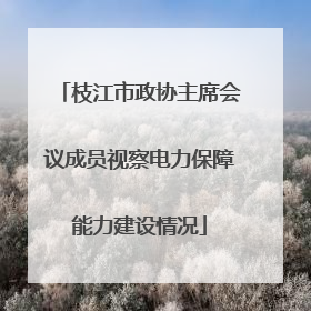 枝江市政协主席会议成员视察电力保障能力建设情况