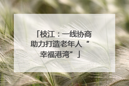 枝江：一线协商助力打造老年人“幸福港湾”
