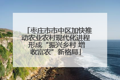 枣庄市市中区加快推动农业农村现代化进程 形成“振兴乡村 增收富农”新格局