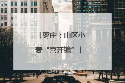 枣庄：山区小麦“喜开镰”