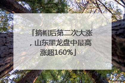 摘帽后第二次大涨，山东墨龙盘中最高涨超160%