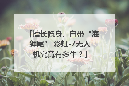 擅长隐身、自带“海狸尾” 彩虹-7无人机究竟有多牛？
