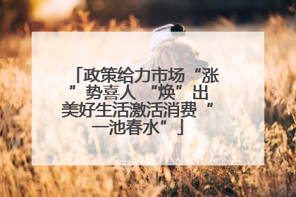 政策给力市场“涨”势喜人 “焕”出美好生活激活消费“一池春水”