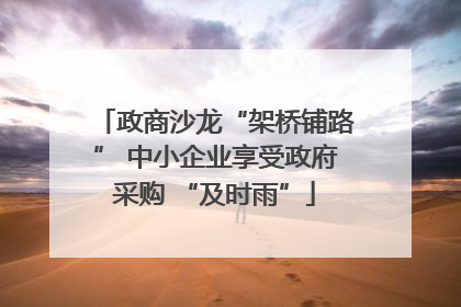 政商沙龙“架桥铺路” 中小企业享受政府采购 “及时雨”
