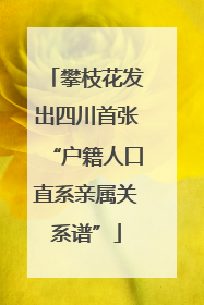 攀枝花发出四川首张“户籍人口直系亲属关系谱”
