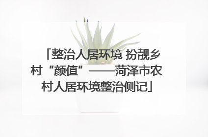 整治人居环境 扮靓乡村“颜值”——菏泽市农村人居环境整治侧记