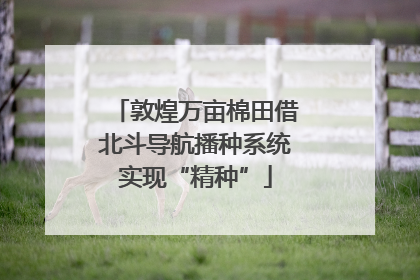敦煌万亩棉田借北斗导航播种系统实现“精种”