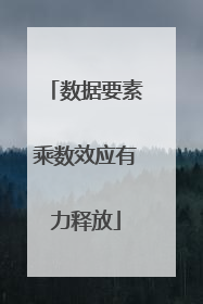 数据要素乘数效应有力释放