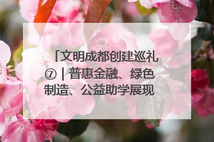 文明成都创建巡礼⑦｜普惠金融、绿色制造、公益助学展现城市文明底色