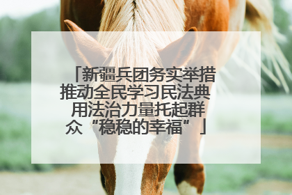 新疆兵团务实举措推动全民学习民法典 用法治力量托起群众“稳稳的幸福”