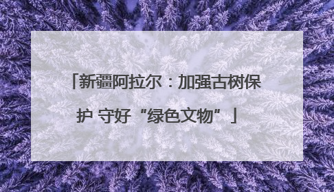 新疆阿拉尔：加强古树保护 守好“绿色文物”